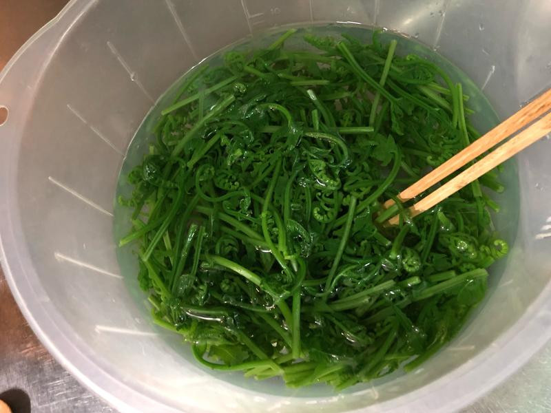 ��ʽ�����è������