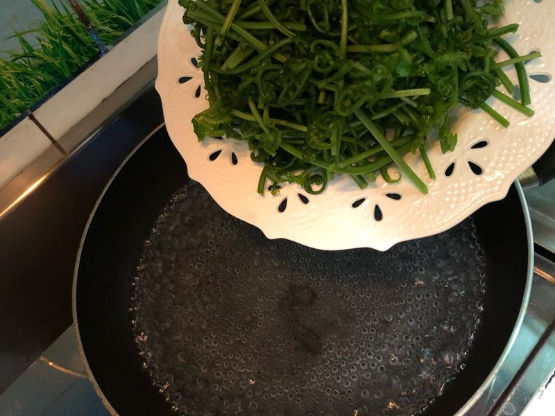 ��ʽ�����è������