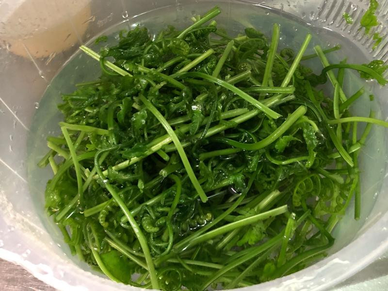 ��ʽ�����è������