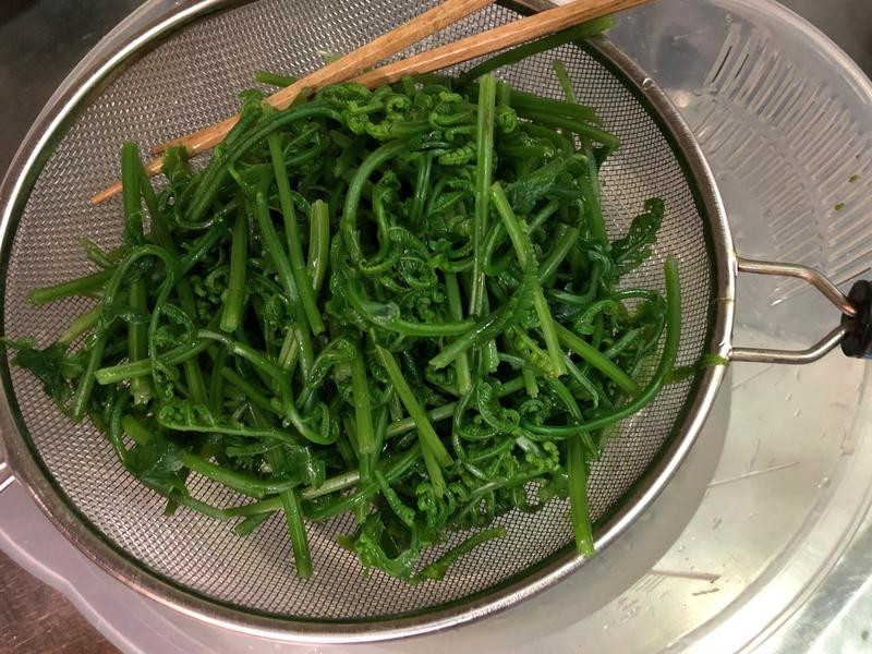 ��ʽ�����è������