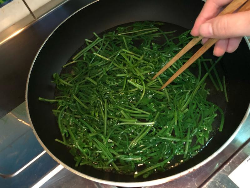 ��ʽ�����è������