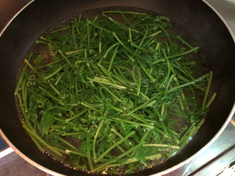 ��ʽ�����è������