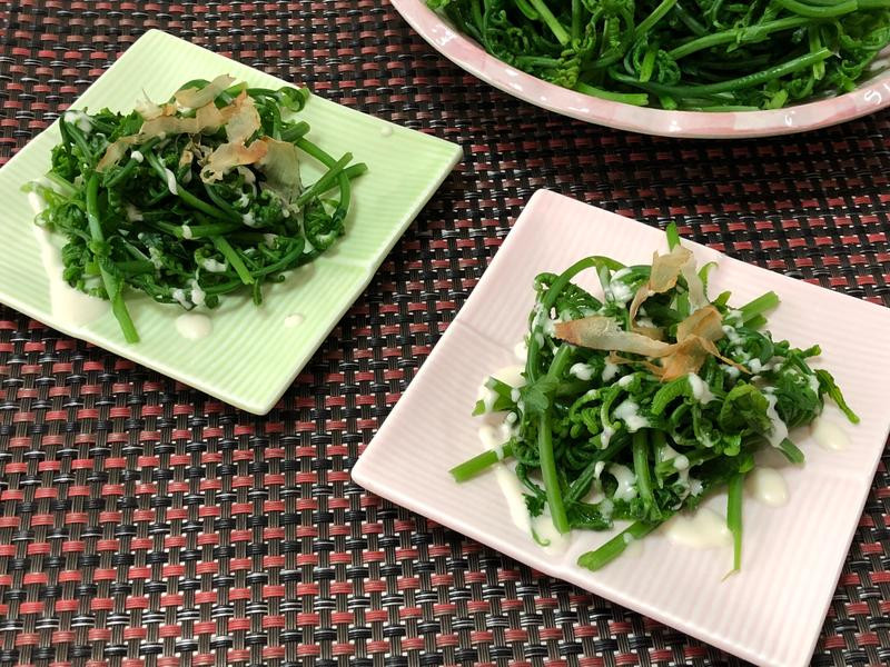 ��ʽ�����è������