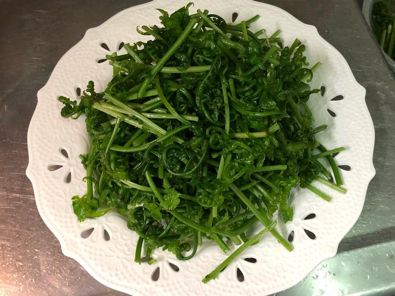 ��ʽ�����è������