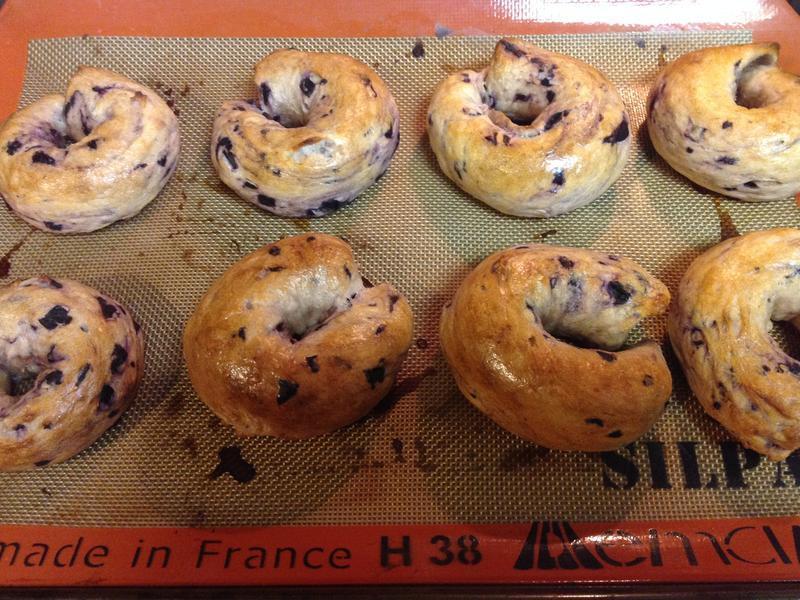 Blueberry Bagel-��ݮ����������