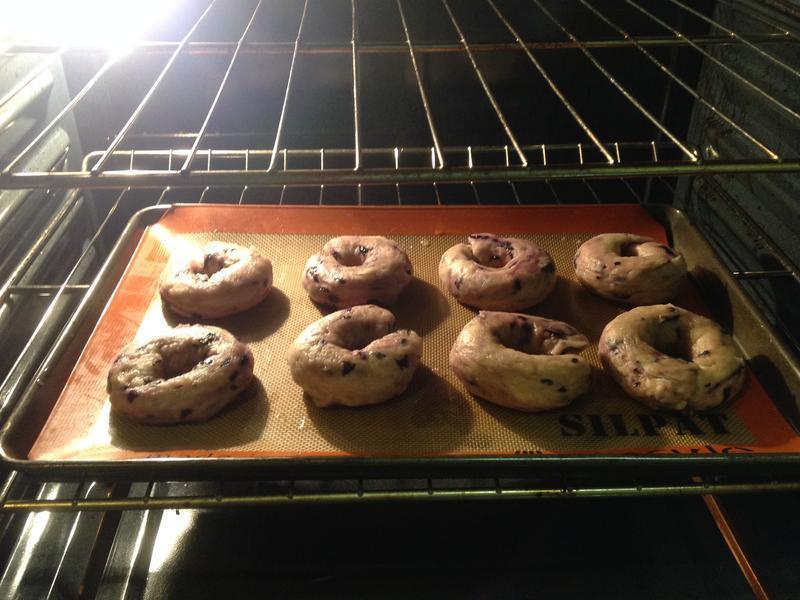 Blueberry Bagel-��ݮ����������