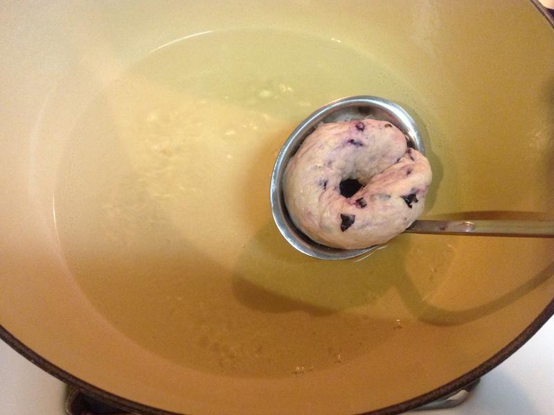 Blueberry Bagel-��ݮ����������