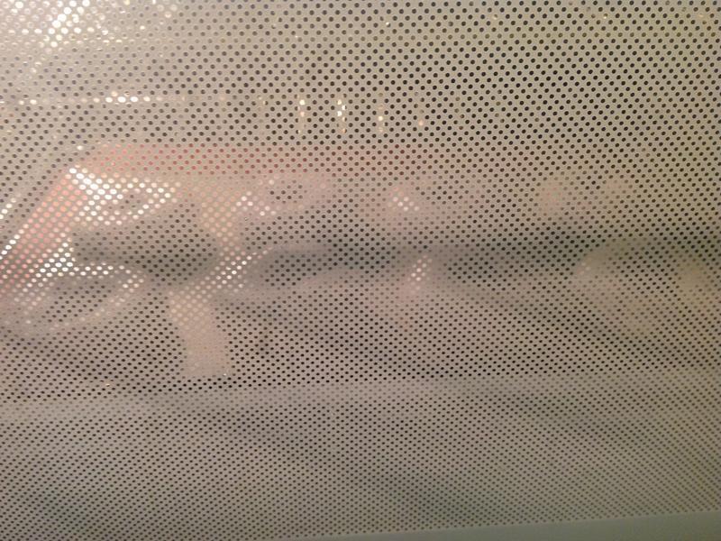 Blueberry Bagel-��ݮ����������