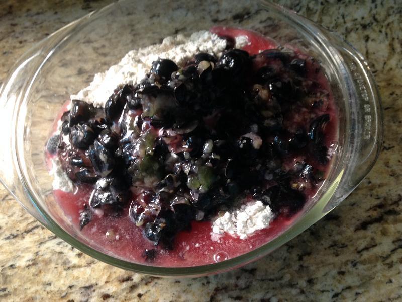 Blueberry Bagel-��ݮ����������