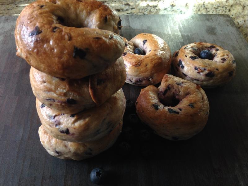 Blueberry Bagel-��ݮ����������