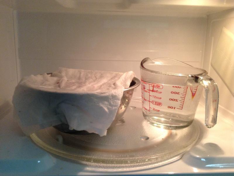 Blueberry Bagel-��ݮ����������