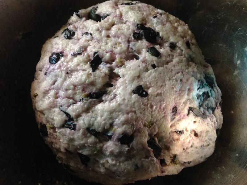 Blueberry Bagel-��ݮ����������