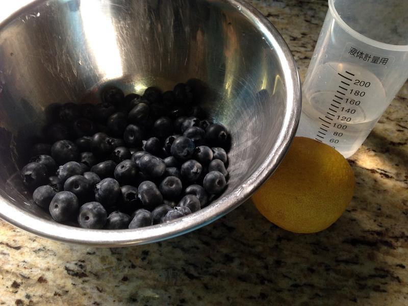 Blueberry Bagel-��ݮ����������