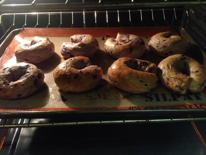 Blueberry Bagel-��ݮ����������