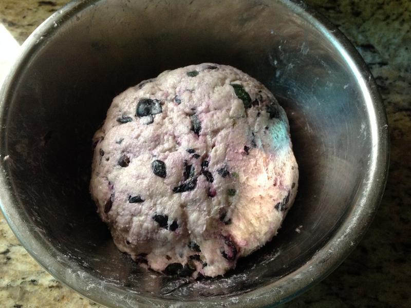 Blueberry Bagel-��ݮ����������