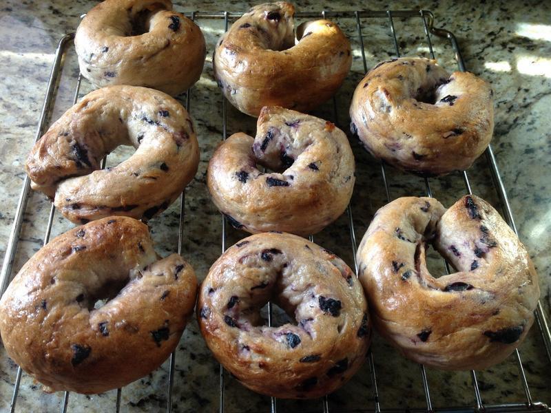 Blueberry Bagel-��ݮ����������