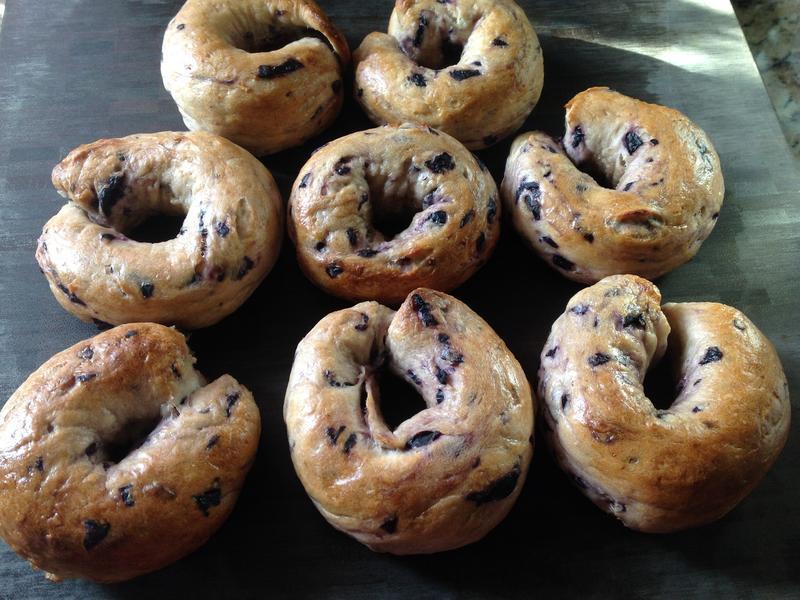 Blueberry Bagel-��ݮ����������