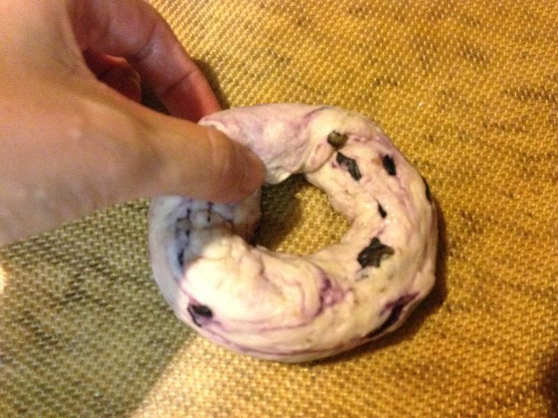 Blueberry Bagel-��ݮ����������