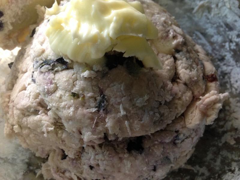 Blueberry Bagel-��ݮ����������