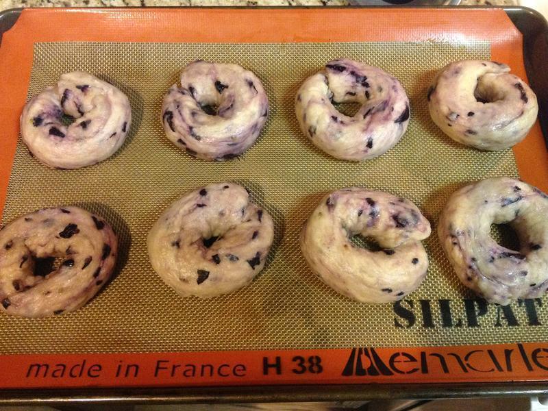 Blueberry Bagel-��ݮ����������