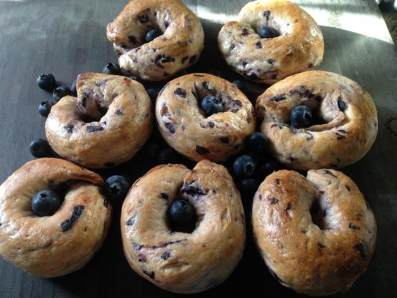 Blueberry Bagel-��ݮ����������