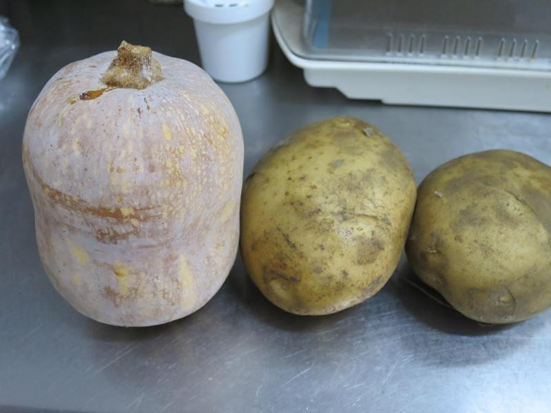 �������Ͳɳ�����������X���ɳ����������