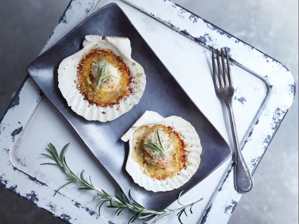 ����ţ�͟h�ȱ�������