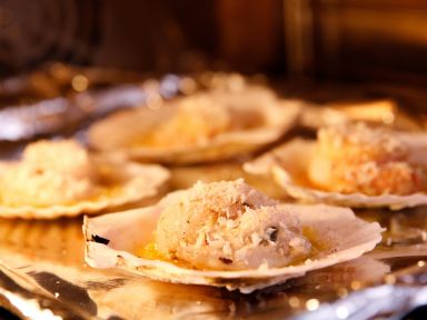 ����ţ�͟h�ȱ�������