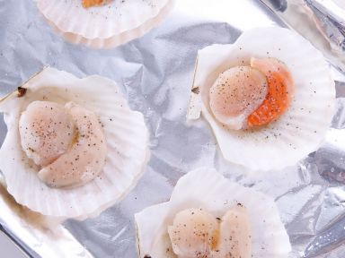 ����ţ�͟h�ȱ�������