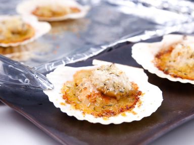 ����ţ�͟h�ȱ�������