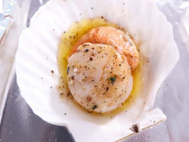 ����ţ�͟h�ȱ�������