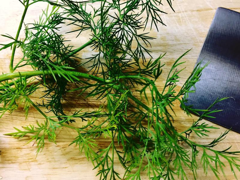 ����ݪ�ܸɱ�������