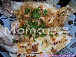 ���׿������������