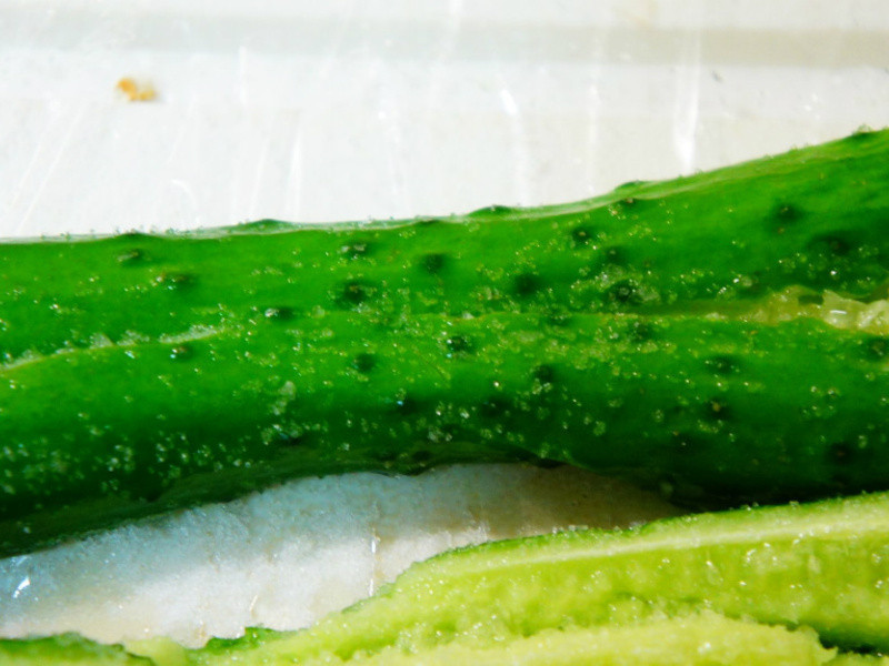 �ϵ�~[����] ����С�ƹϵ�����