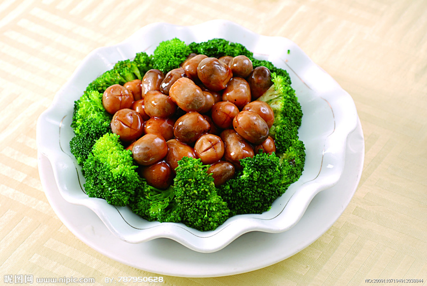 ����ʹ�������