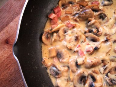 ֥ʿĥ���h��������