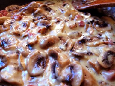 ֥ʿĥ���h��������