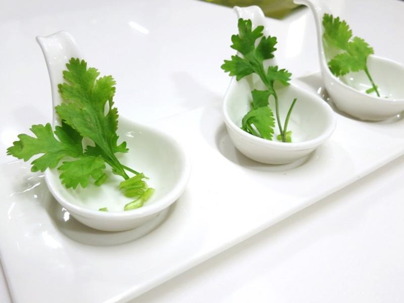 ̩��С�������