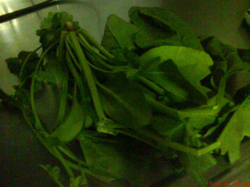 �̿���������������