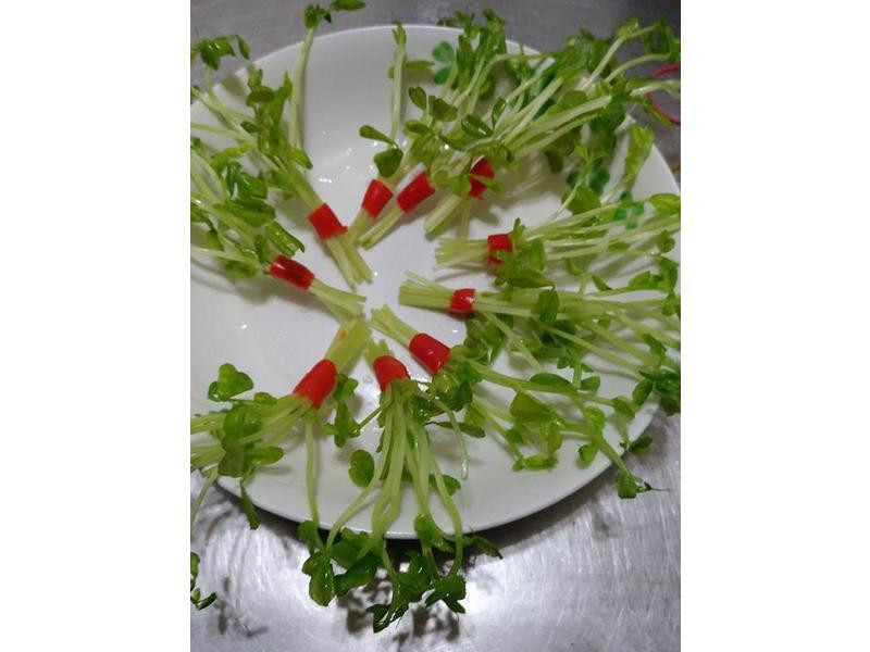 ̩ʽɳ��Ԫ��������