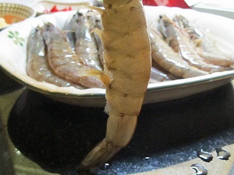 ̩ʽ����Ϻ���������������