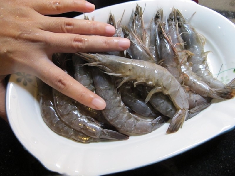 ̩ʽ����Ϻ���������������