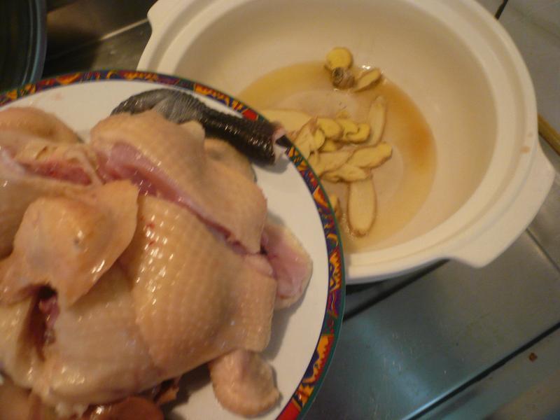 �������紺��������������ˡ�������