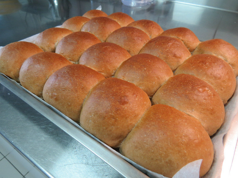 ▊牛奶可可餐包《直接法》?? ▊的做法