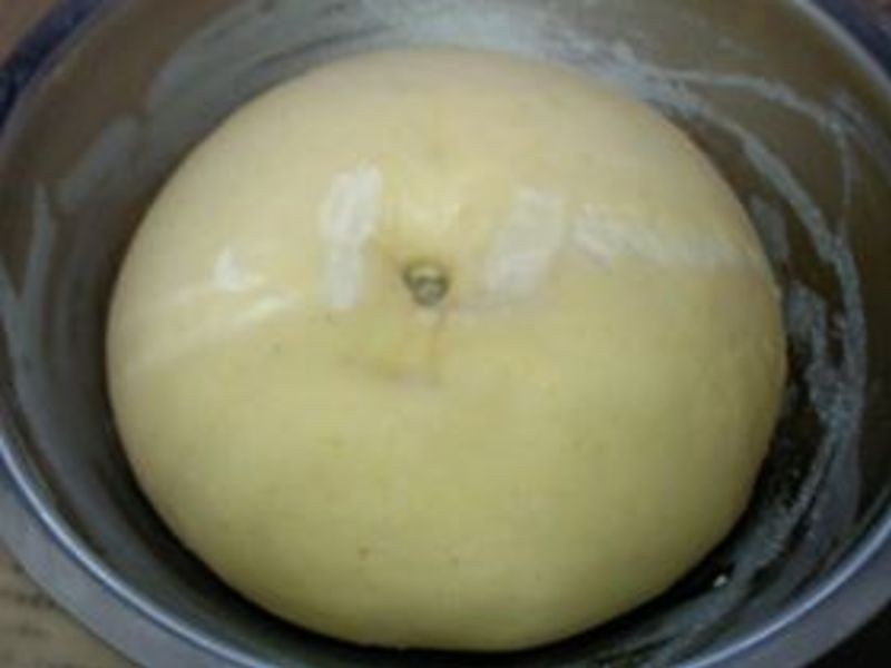 �춹ţ�̻������������