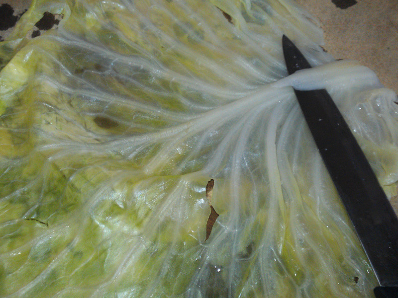 ��ʽ��֭�����˾�������