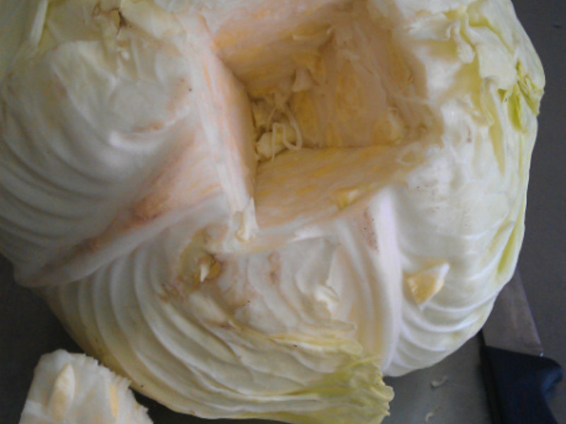 ��ʽ��֭�����˾�������