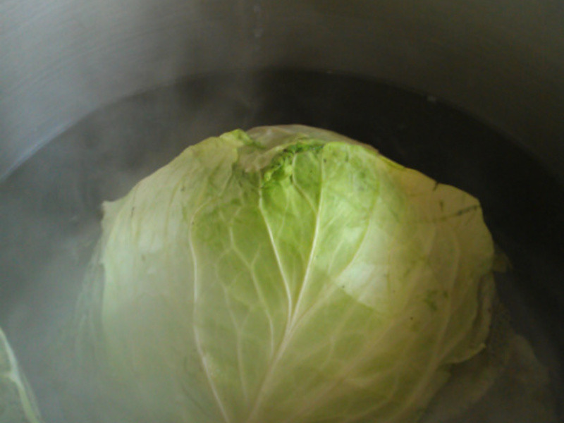 ��ʽ��֭�����˾�������