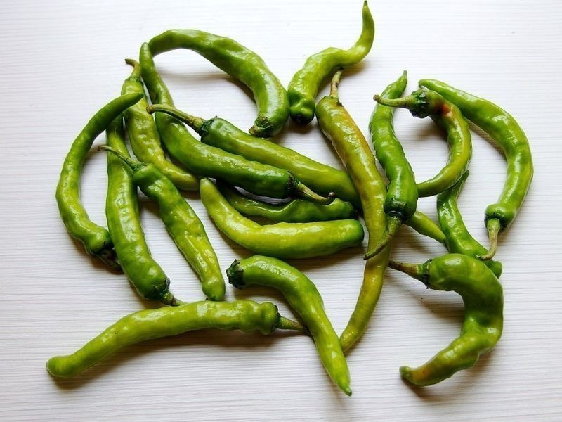 �����ܲ��ɵ�����