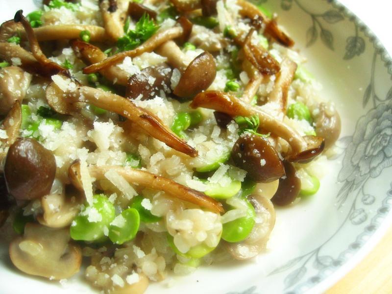 ����Ұ������������